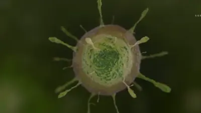 Fakta Virus Zombie yang Ditemukan di Siberia, Benarkah Siap Menggerus Peradaban Manusia?