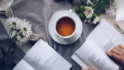 Hobi baca buku