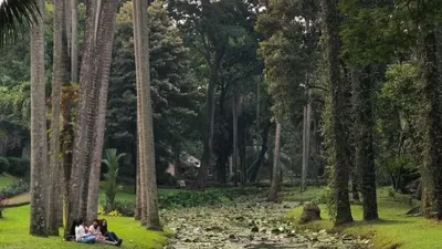 Jalan-jalan atau strolling around di Jakarta tidak selalu perlu menyiapkan banyak budget. Berikut rekomendasi tempat-tempat seru tapi hemat. Salah satunya pilihan jalan-jalan ke Taman Langsat di Jakarta Selatan.  