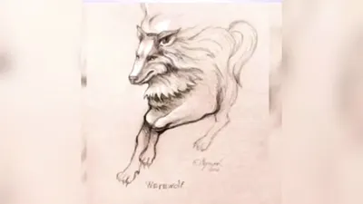 Gambar yang pertama kali kamu lihat dari ilustrasi tes kepribadian berikut bisa mengungkap karakter dan sifat menonjol dalam dirimu.