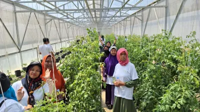 PT Permodalan Nasional Madani (PNM) gelar studi banding pertanian hidroponik yang diikuti oleh ketua kelompok nasabah PNM Mekaar yang bergelut di usaha pertanian dari wilayah Bogor, Sukabumi, Garut, Yogyakarta, Purwokerto, Padang, dan Denpasar.