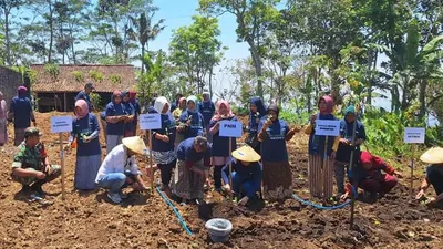 Peringati Hari Tani Nasional ke-63, PT Permodalan Nasional Madani (PNM) berdayakan sektor pertanian dengan lakukan penanaman 10.000 lebih bibit tanaman.
