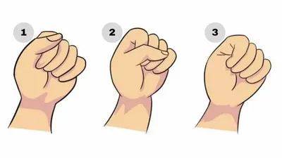 Tes Kepribadian: Kecerdasan yang Dimiliki Seseorang Bisa Terungkap Lewat Kepalan Tangan, Apakah Kamu Punya IQ Tinggi?