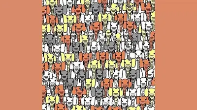 Tes Penglihatan: Punya Mata Yang Tajam?