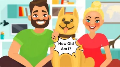 Hanya Orang dengan Otak Jenius yang bisa Menghitung Usia Anjing