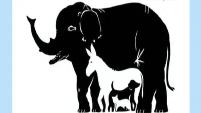 Tes Kepribadian: Berapa Banyak Hewan yang Kamu Temukan?