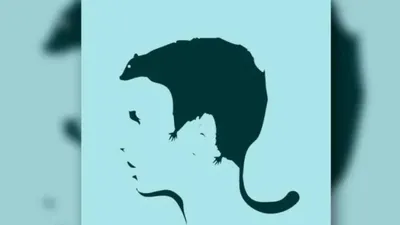 Tes Kepribadian: Tikus atau Siluet Wajah? 