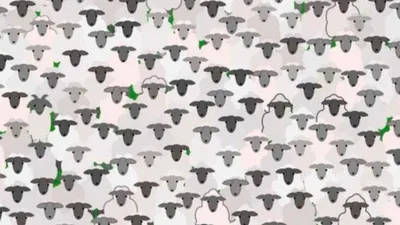 Tes Ilusi Optik: Temukan 1 Ekor Kambing di Antara Kumpulan Para Domba