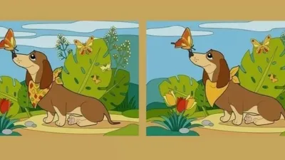 Tes IQ: Ada 5 Perbedaan pada Gambar Anjing Bersama Kupu-kupu Ini Coba Temukan Minimal 3 Saja, Latih Fokusmu! (Jagran Josh)