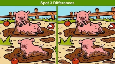 Tes IQ Coba Temukan 3 Perbedaan Pada Gambar Babi Ini