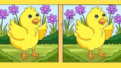 Tes IQ: Seimbangkan Otak Kanan dan Kiri dengan Menemukan 3 Perbedaan pada Gambar Anak Bebek Ini, Ketemu?