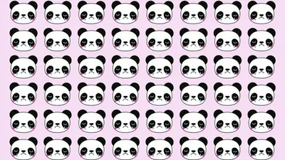 Tes Penglihatan: Temukan Panda Paling Berbeda di Balik Gambar Ilusi Optik Ini,