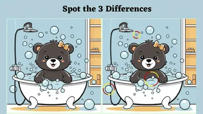 Tes IQ: Taklukan Teka-teki Ilusi Optik Ini! Coba Temukan 3 Perbedaan pada Gambar Beruang Mandi dalam 15 Detik, Kamu Bisa?