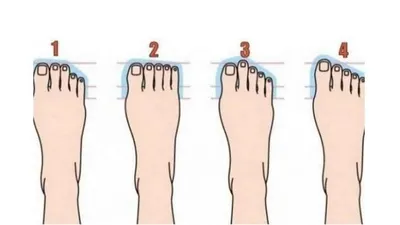 Illustrasi Tes Kepribadian