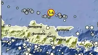 Guncangan yang berdurasi 15 detik ini dirasakan sedang di Kabupaten Tuban, dan daerah lainnya seperti kabupaten Rembang berdurasi 50 detik.
