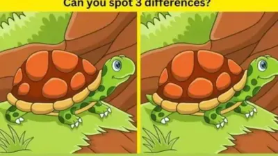 Tes IQ: Dalam 7 Detik Temukan 3 Perbedaan pada Gambar Kura-kura, Orang Bermata Tajam Pasti Bisa! 