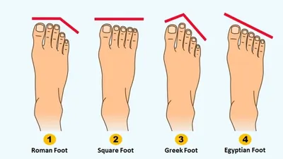 Mengungkap Kepribadian Seseorang dari Bentuk Kaki, Cari Tahu Kamu Sosok Karismatik atau yang Sulit Dibujuk?