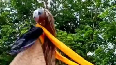 Mengenal Cowongan Boneka &lsquo;Terbang&rsquo; yang Digunakan Masyarakat Banyumas untuk Tradisi Memanggil Hujan