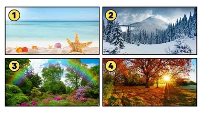 Tes Kepribadian: Diantara 4 Musim Ini Mana yang Paling Kamu Suka?
