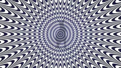 Tes IQ dengan mengasah otak dan ketajaman mata kali ini berupa tantangan untuk menemukan hewan di dalam gambar.