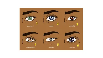 Illustrasi Tes Kepribadian
