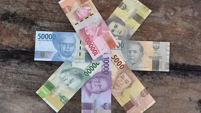 Pinjaman Online (Pinjol) telah menjadi alternatif yang populer untuk mendapatkan dana tambahan dalam situasi keuangan yang mendesak.