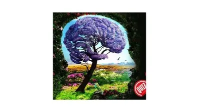 Illustrasi Tes Kepribadian