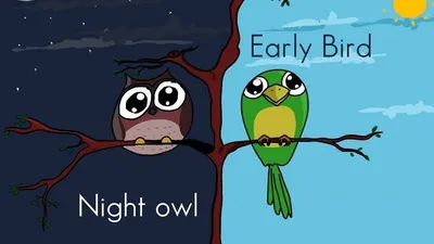 Waktu bangun tidur bisa menggambarkan kepribadian seseorang.