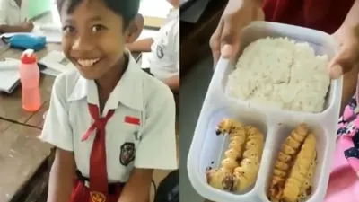 Warganet Kompak Doakan Anak SD yang Bawa Bekal Nasi dan Ulat Sagu Goreng agar Sukses