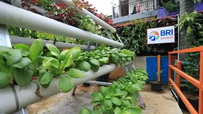 Jajaran tanaman hijau nan asri dan dinding penuh kreasi mural seolah menyambut ketika memasuki area Kampung Palm Eco Green Village.