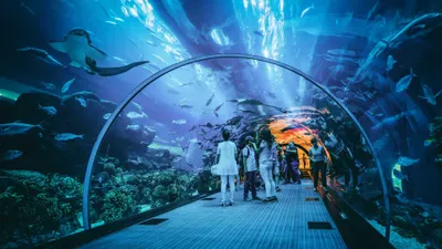 Jakarta Aquarium