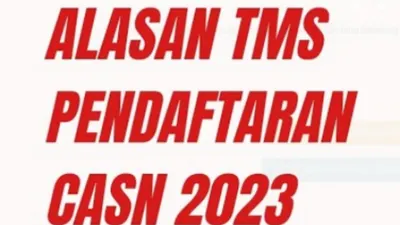 Jangan Putus Asa karena Masa Sanggah, Inilah Alasan yang Menjadi Penyebab Peserta CASN 2023 Dinyatakan TMS
