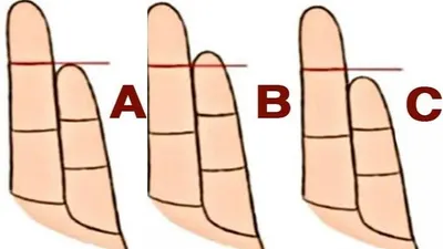 Dalam artikel kali ini akan membongkar seperti apa sih kepribadian serta bagaimana kondisi kesehatan yang kamu miliki.