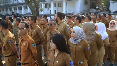 Jika kamu berencana mendaftar Calon PNS, ada beberapa jurusan kuliah yang memiliki peluang besar untuk berhasil melewati seleksi CPNS.
