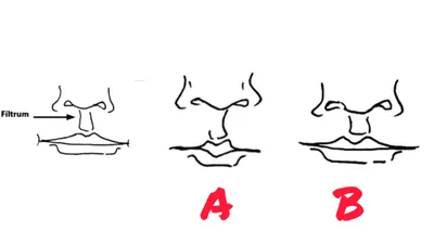 Ungkap Kepribadian Asli Berdasarkan Bentuk Garis Antara Hidung dan Mulut atau Filtrum, Kamu Tipe yang Mana?