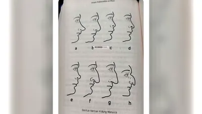 Ada 8 bentuk hidung yang bisa mengungkapkan bagaimana karakter serta kepribadian dominan dari seseorang.