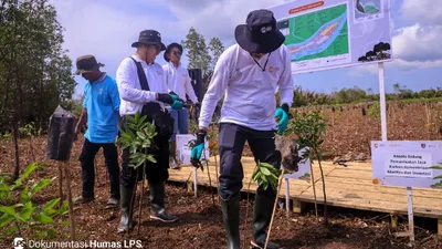 LPS Rehabilitasi Ekosistem Mangrove di Cilacap