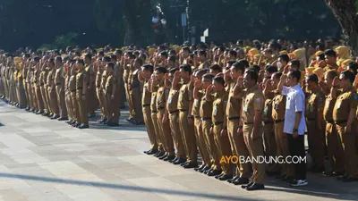 Ilustrasi jurusan kuliah yang memiliki peluang tinggi untuk lolos dalam seleksi CPNS dan PPPK tahun 2023.