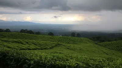 10 Kota Terbesar dengan Luas Wilayah yang Luar Biasa di Indonesia, dari Pesisir Sumatera hingga Pulau Kalimantan Timur