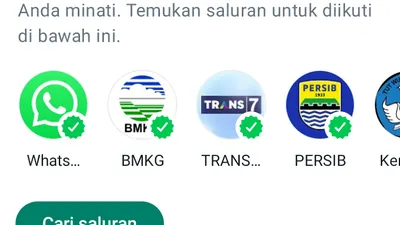 Pengguna WhatsApp Bisa Lakukan Trik Sederhana ini Apabila Resah dengan Fitur Menu Saluran