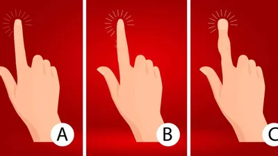 Tes Kepribadian: Tipe Karaktermu Bisa Dilihat dari Bentuk Jari, Kamu yang Mana? (abmeyerwood.com)