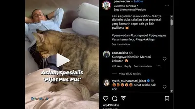 Pulang Kunjungan ke Daerah Anies Baswedan Puji Servis Aslan, Si Kucing yang Jago Pijat