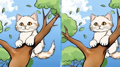 Tes IQ: Ayo Bermain dan Temukan 3 Perbedaan pada Gambar Kucing Menggemaskan Memanjat Pohon Ini, Kerahkan Kemampuan Detektifmu!