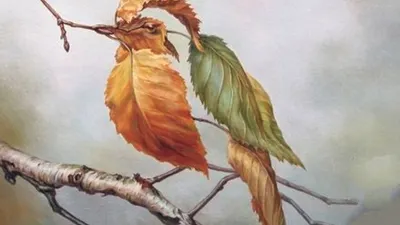 es Kepribadian: Apakah Kamu Punya Masa Depan yang Cerah? Pertama Kali Kamu Lihat Daun atau Burung