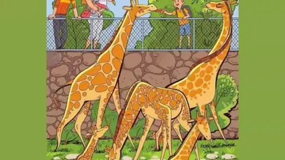 Tes Ilusi Optik: Gunakan Kemampuan Observasimu, Coba Cari Stroberi di Gambar Kebun Binatang Ini