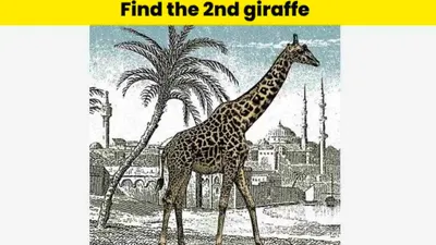 Tes Ilusi Optik: Temukan Kata GIRAFFE dalam Gambar Jerapah Ini, Asah Kemampuan Visual Kamu