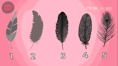 Pilih 1 Bulu dan Ungkap Seperti Apa Kepribadianmu, Berhati Mulia atau Unik?