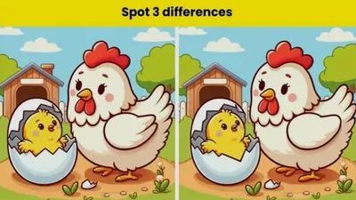 Tes IQ: Temukan 3 Perbedaan Pada Gambar Ayam dan Anaknya yang Lucu