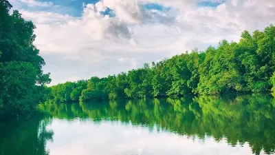 Mangrove center Balikpapan.