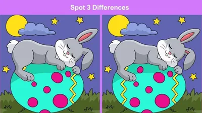 Tes IQ: Ada 3 Perbedaan pada Gambar Kelinci Tidur di Atas telur Ini